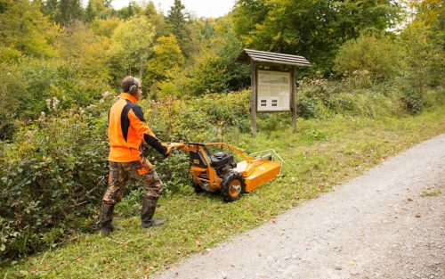 AS-MOTOR AS 65 2T ES magasgazvágó