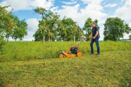 AS-MOTOR AS 62 4T B&S magasgazvágó